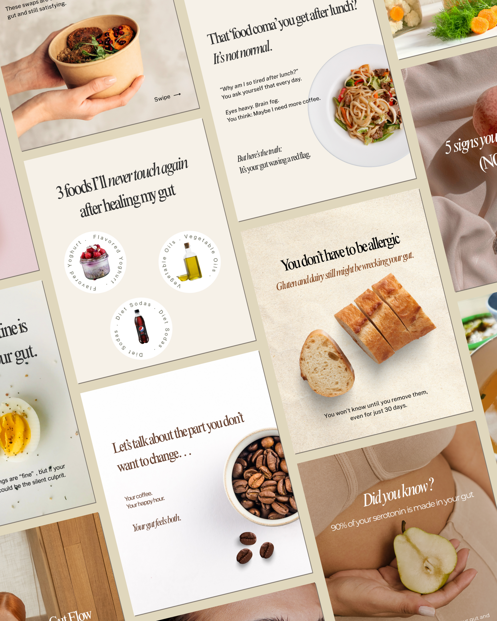 Gut Health Instagram Canva Template Pack