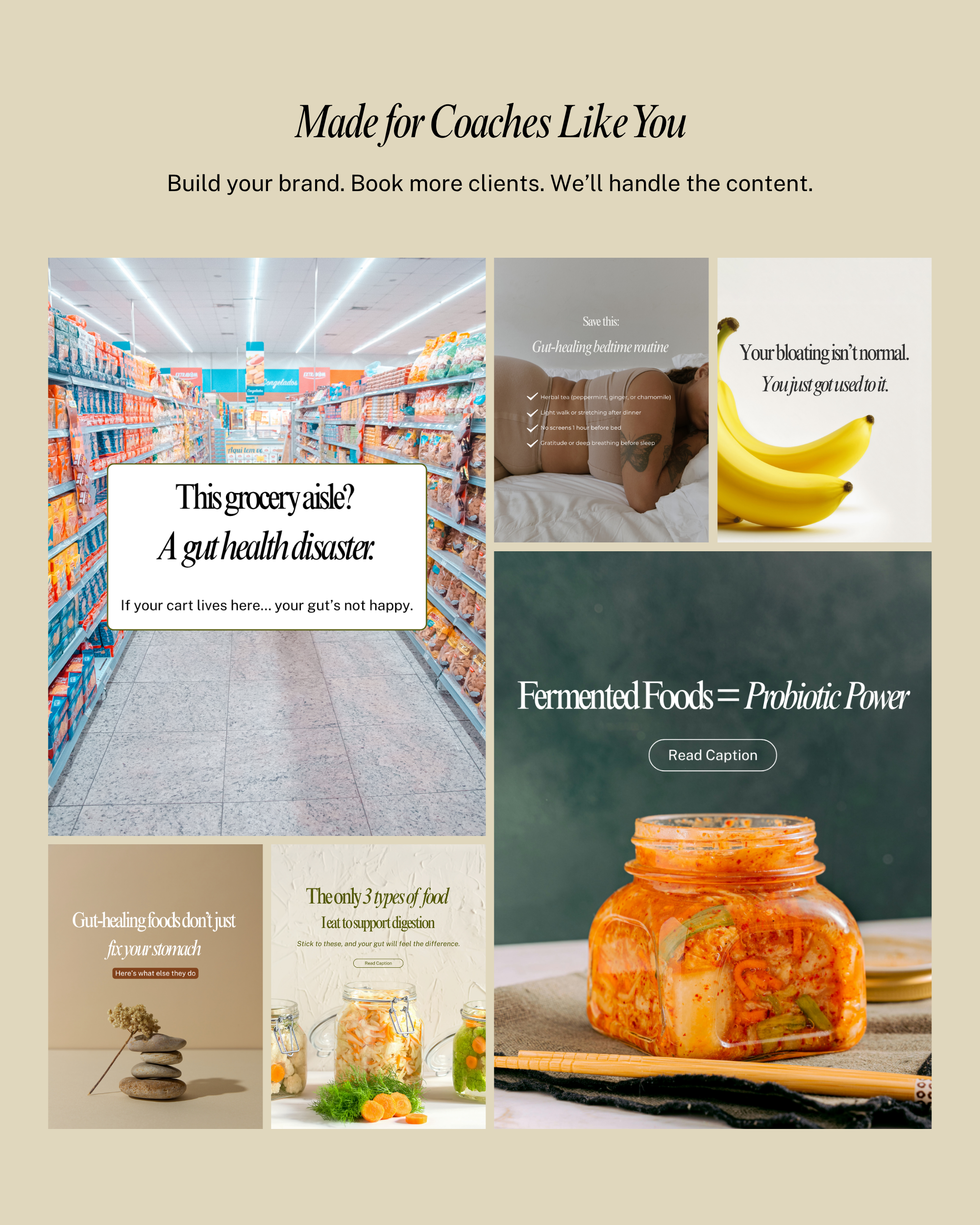 Gut Health Instagram Canva Template Pack