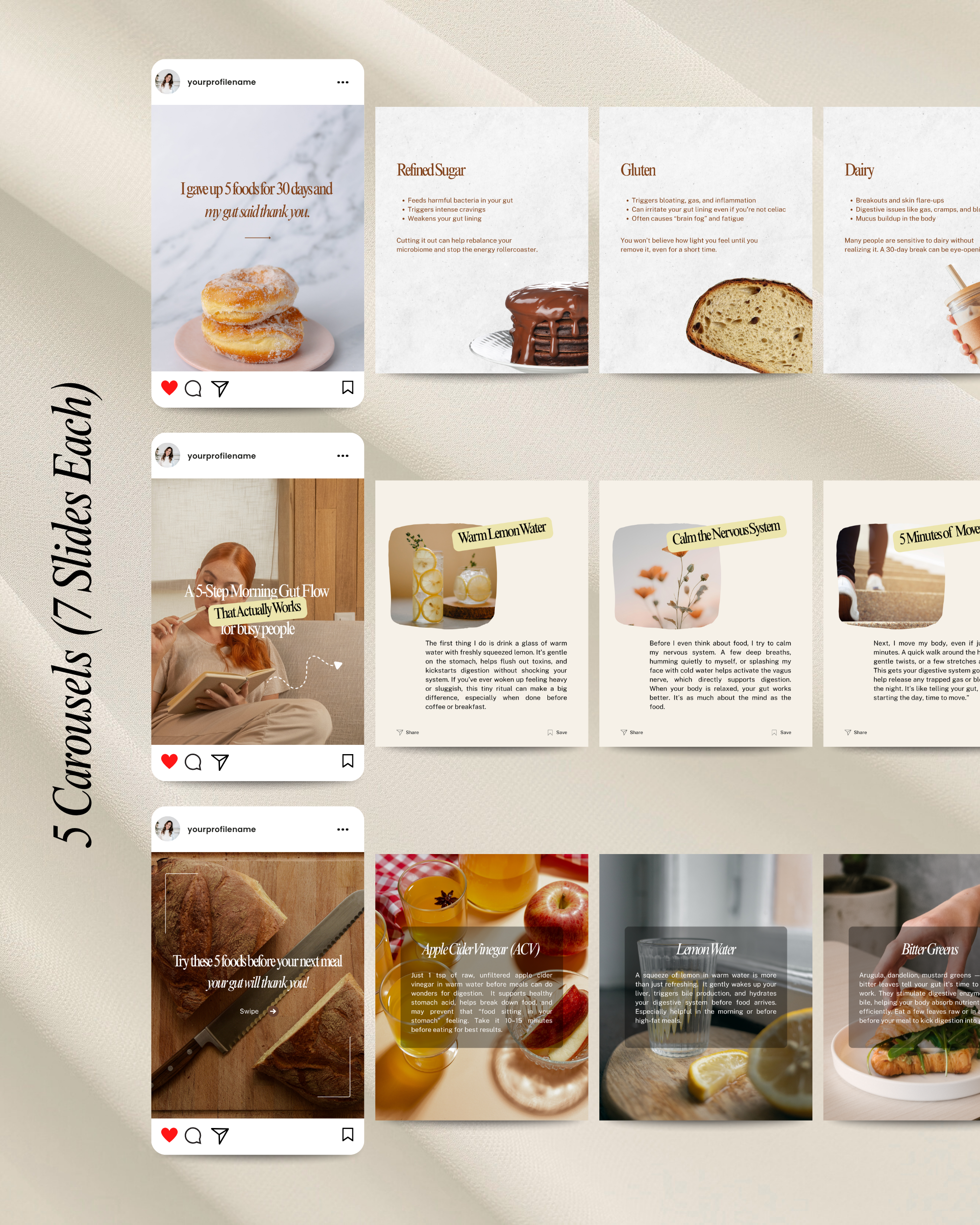Gut Health Instagram Canva Template Pack