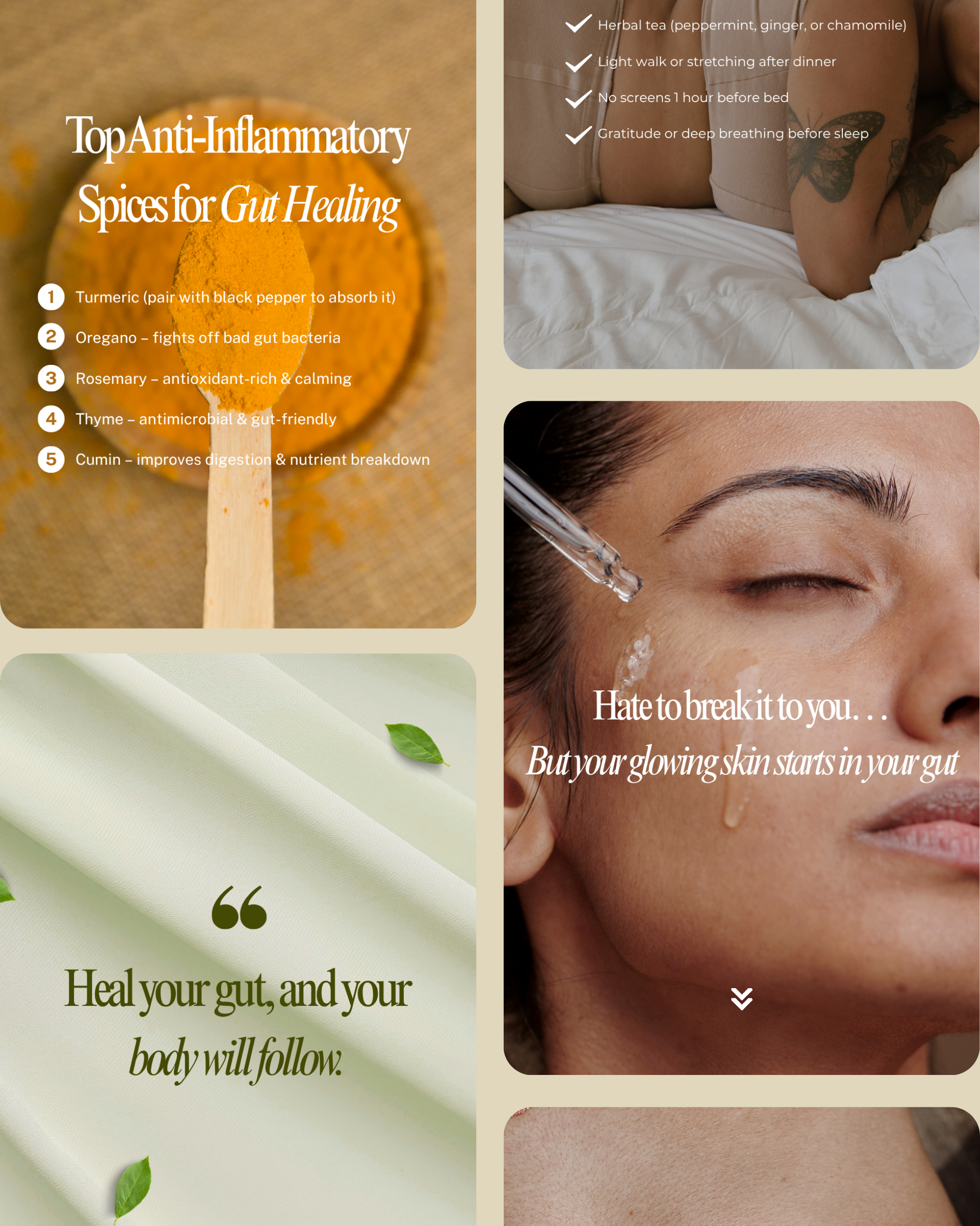 Gut Health Instagram Canva Template Pack