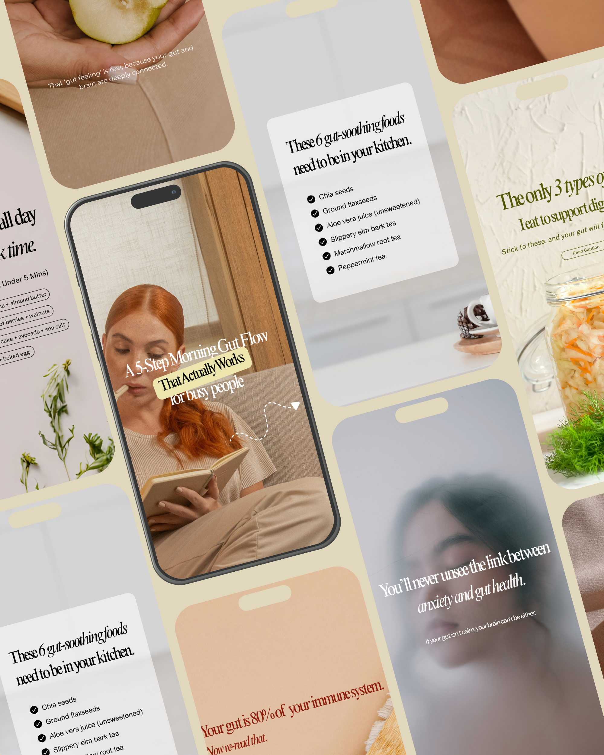 Gut Health Instagram Canva Template Pack