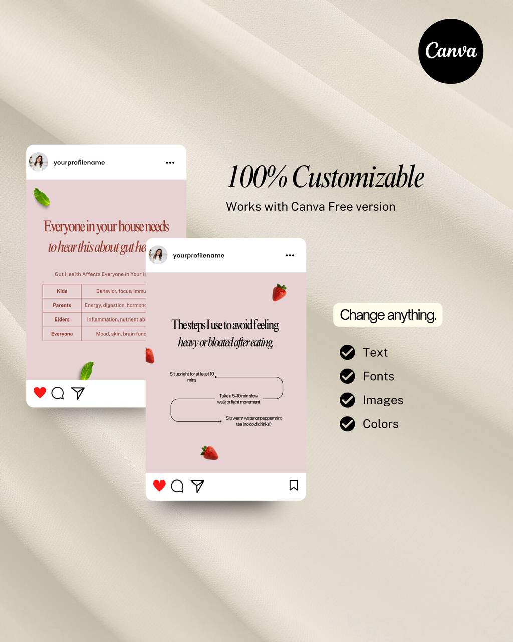 Gut Health Instagram Canva Template Pack