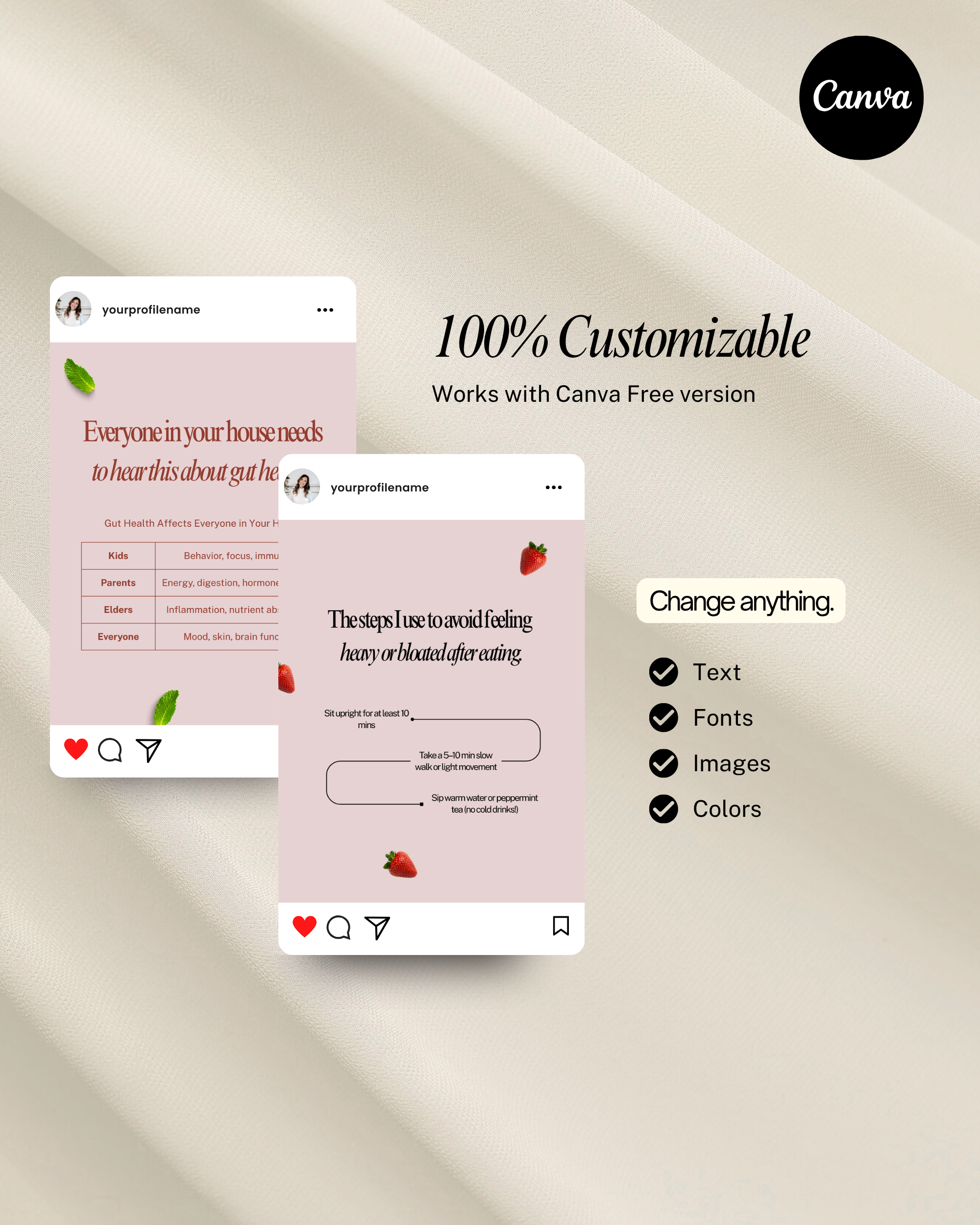 Gut Health Instagram Canva Template Pack